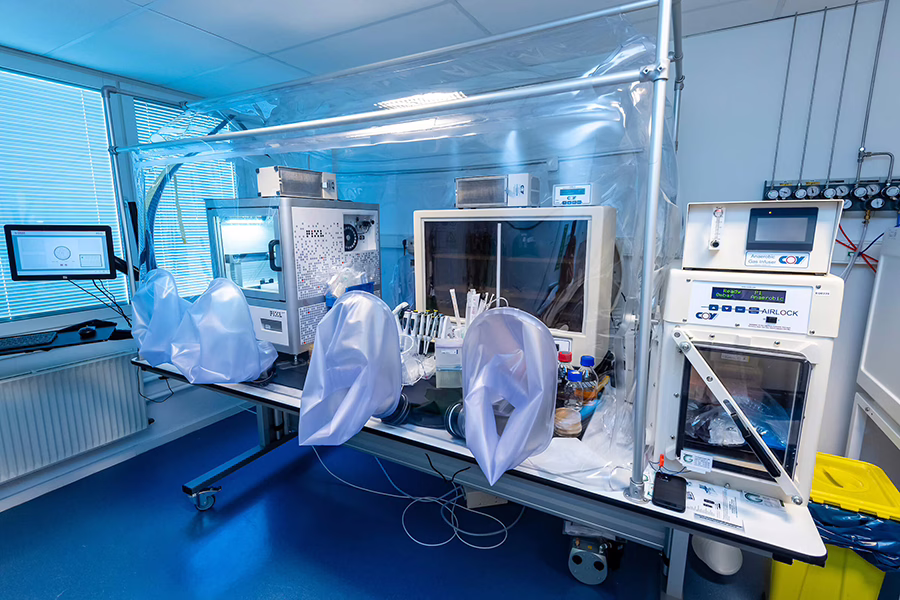 Lab image 3