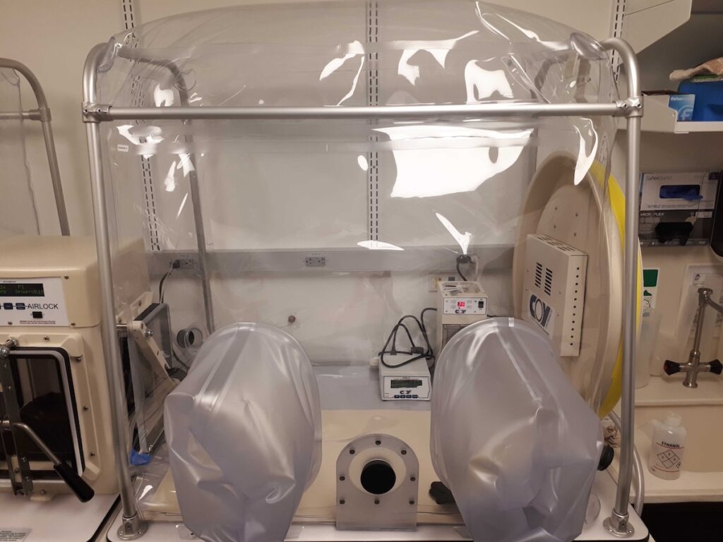 Coy anaerobic vinyl chamber set up for a GMP fecal study and fitted with a custom sterilization port